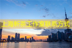 爱上海：他们不仅关注现实问题