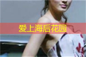 爱上海：工作室还定期举办茶艺研讨会和茶会活动