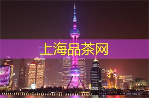 爱上海419：醉在花海：亲历上海的花展